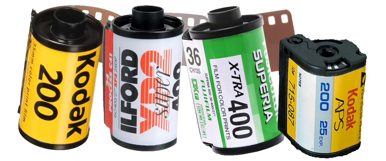 1305x546 - FILM.png