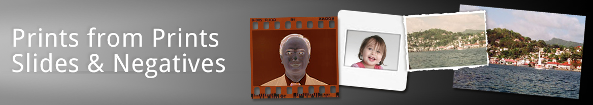 photorestrbanner