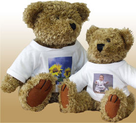 Teddy Bear